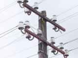 FrW-Weinert Telegrafenmast-11