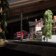 FriedhelmWeidelich-9079838