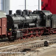 FriedhelmWeidelich-9300776
