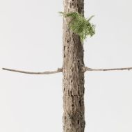 Modelldesign-Baum-15