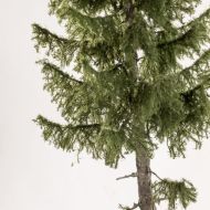 Modelldesign-Baum-18