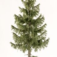 Modelldesign-Baum-19