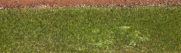tl_files/bilder/Basteltipps/Gras-Master/_5048177.jpg