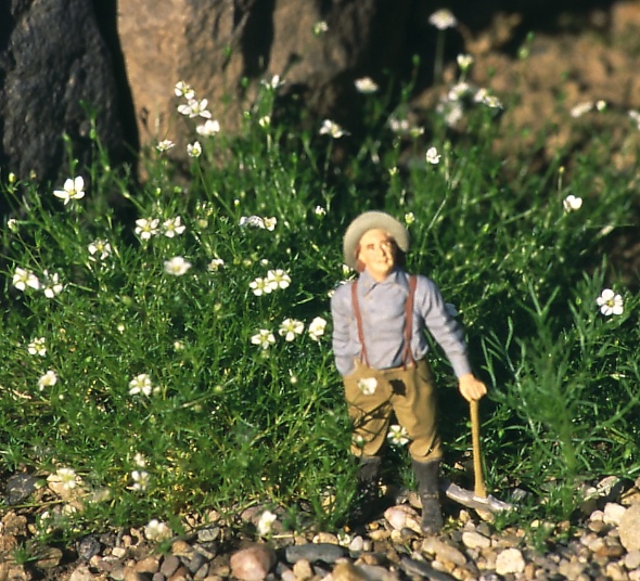 tl_files/bilder/Gartenbahn/Sternmoos mit US-Arbeiter.jpg