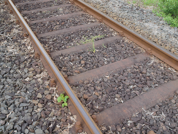 tl_files/bilder/Hosentraeger/PE023811.jpg
