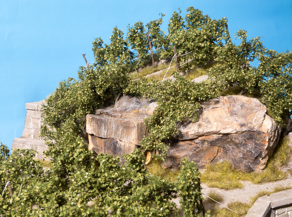 tl_files/bilder/Modelldesign-Baeume/Weinberg/Modelldesign.net-Diorama-6.jpg
