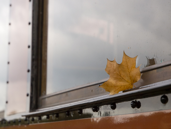 tl_files/bilder/Schmalspur/_A206396.jpg
