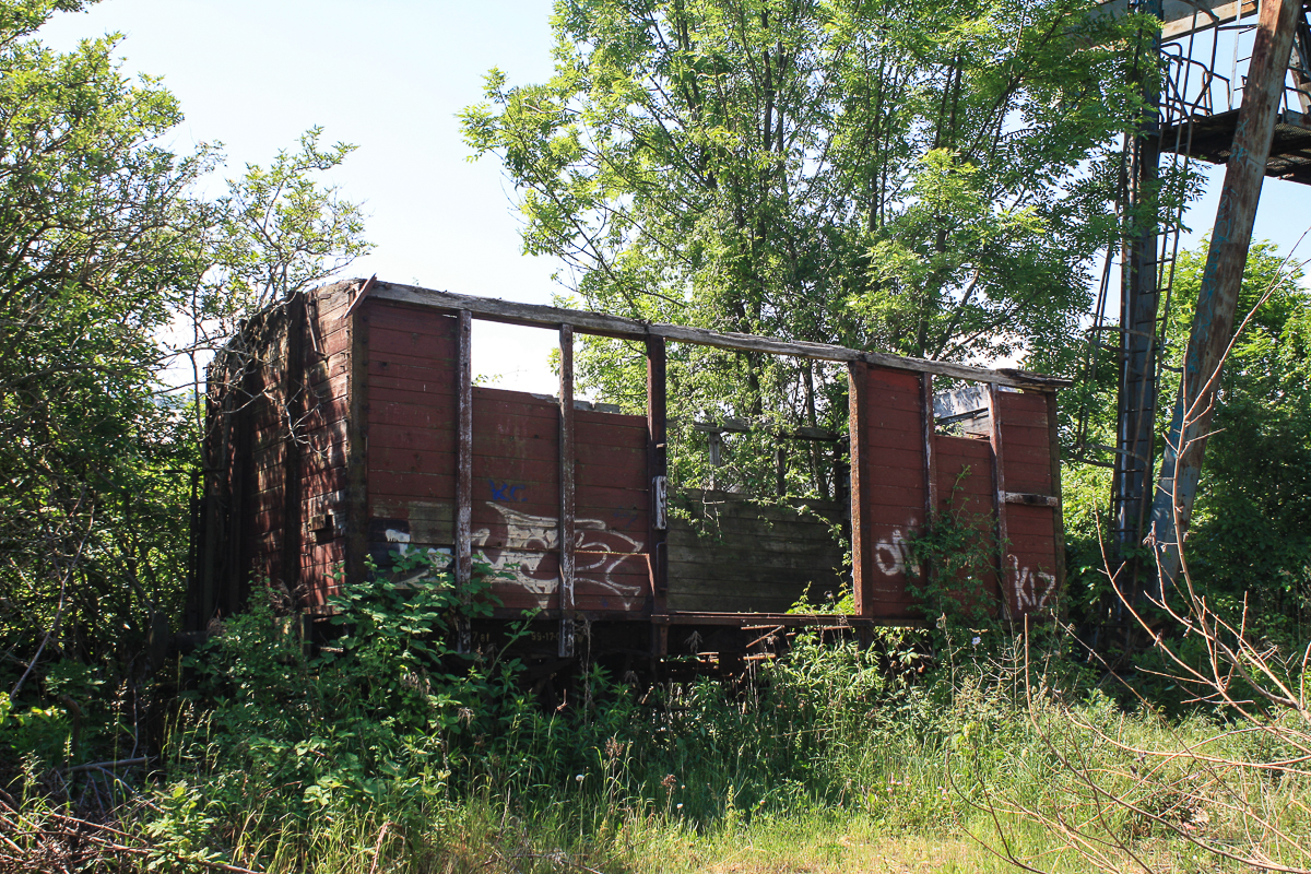Verrottender Güterwagen der HSB in Gernrode, Mai 2018. Foto: Ralf Dederich