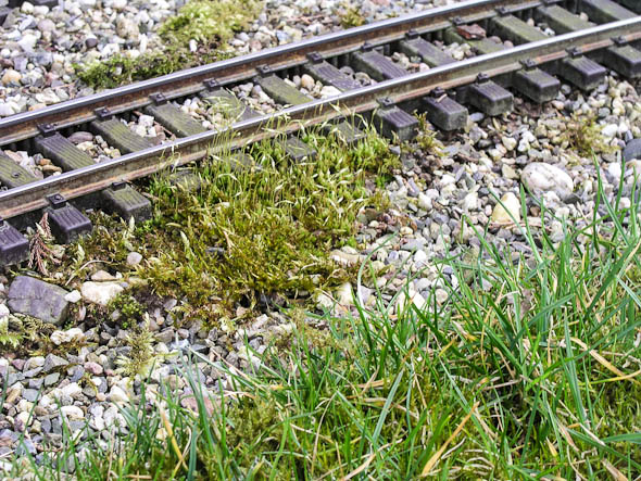 Die Natur breitet sich auf Gartenbahngleisen aus
